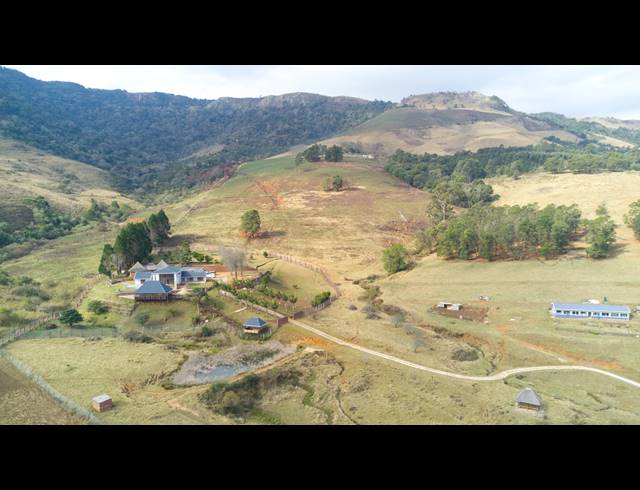 40HA FARM FOR SALE IN BYRNE